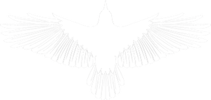 ASHBA Crow Logo